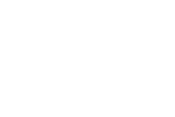 Momentum Growth Stack