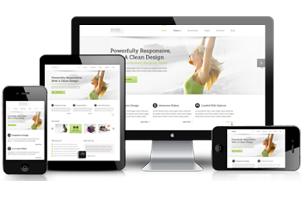 Website Custom WordPress Websites
